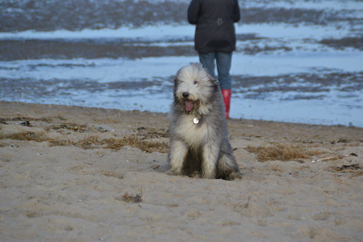 DSC_0070 (2)