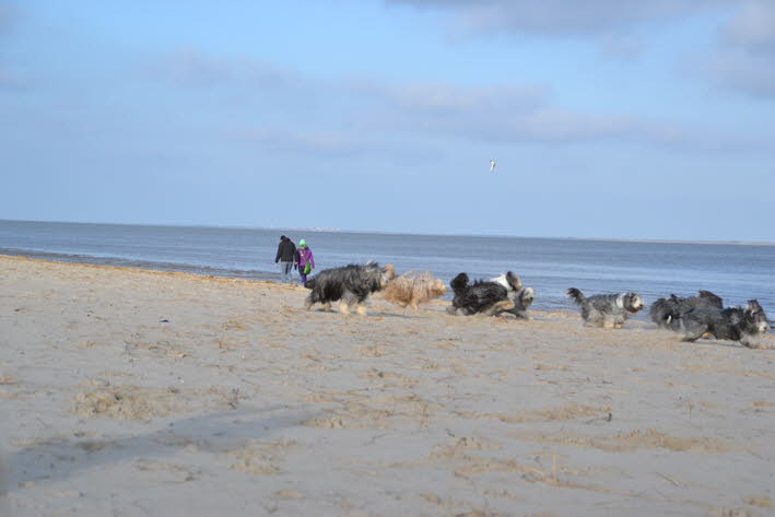 DSC_0488 (2)
