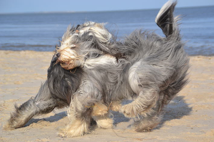 DSC_0534
